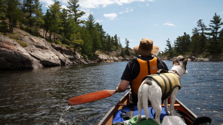 Man paddles a canoe with a dog behind him