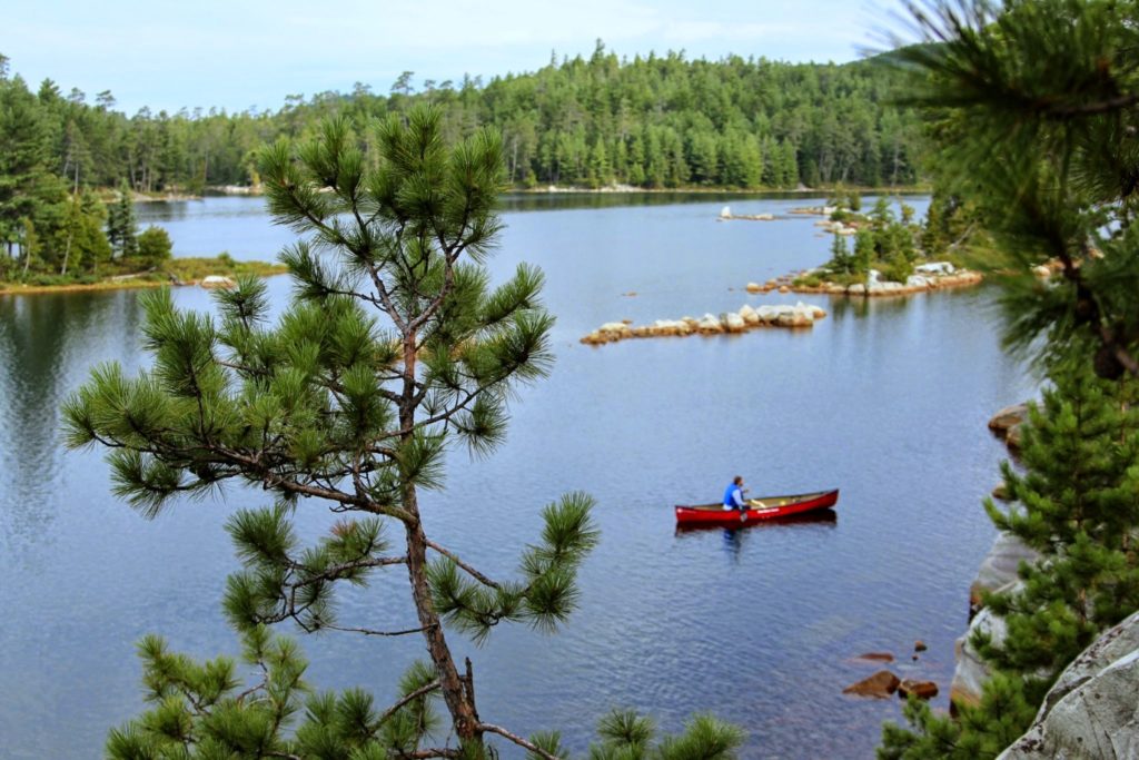 view of a canoe from a hill with red pines