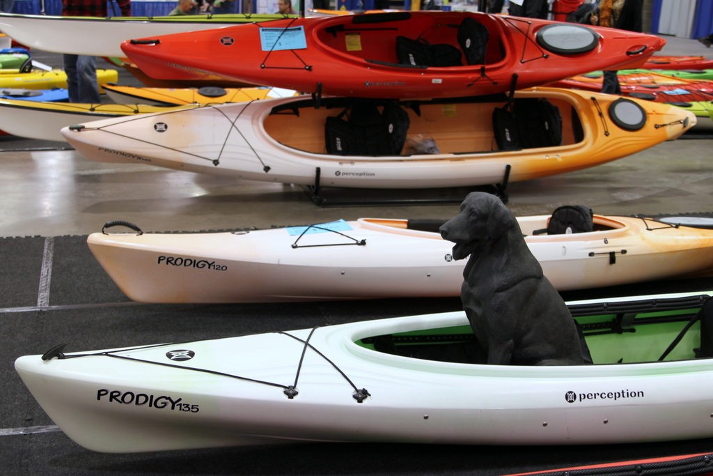 Perception Kayaks demos how your furry friends can easily join you on your paddling adventures