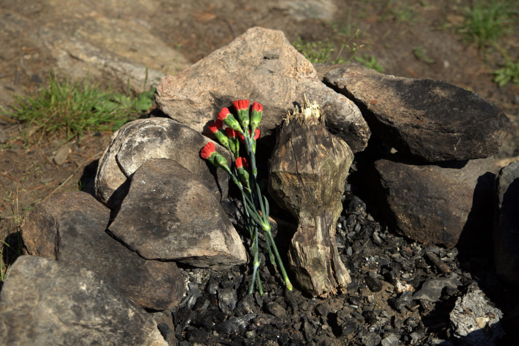 Flowers and a broken stump placed into a campfire