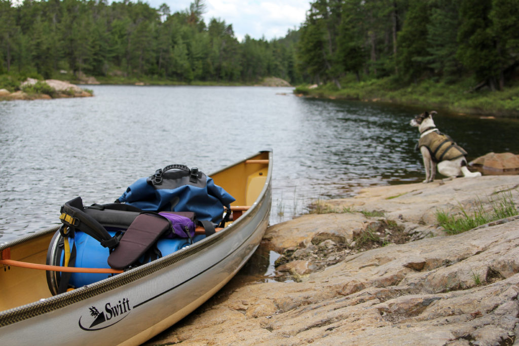 A full canoe lies on the shore in front of Nancy the dog in a PFD
