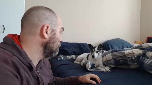 Man looks back at an expecting dog