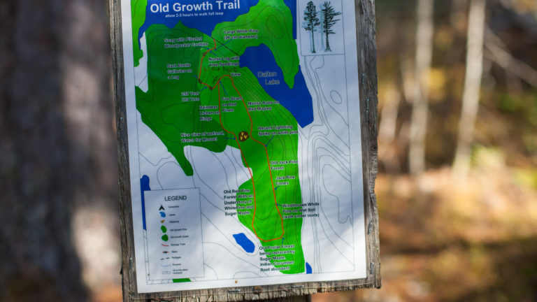 map of an old growth trail in Temagami