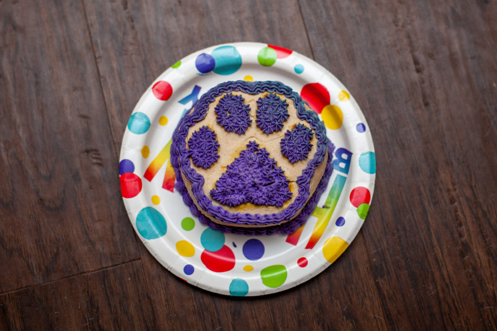 birthday cake in the shape of a dog paw