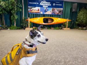 A dog poses at the entrance to the outdoor adventures show