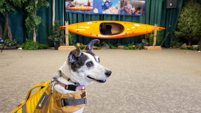 A dog poses at the entrance to the outdoor adventures show