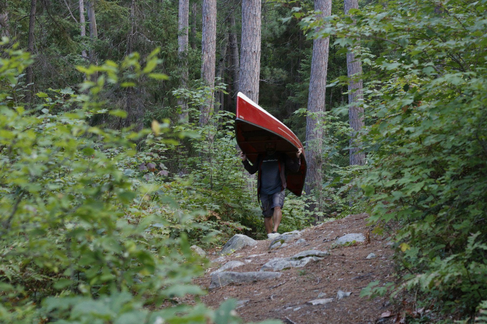 man portaging a red canoe