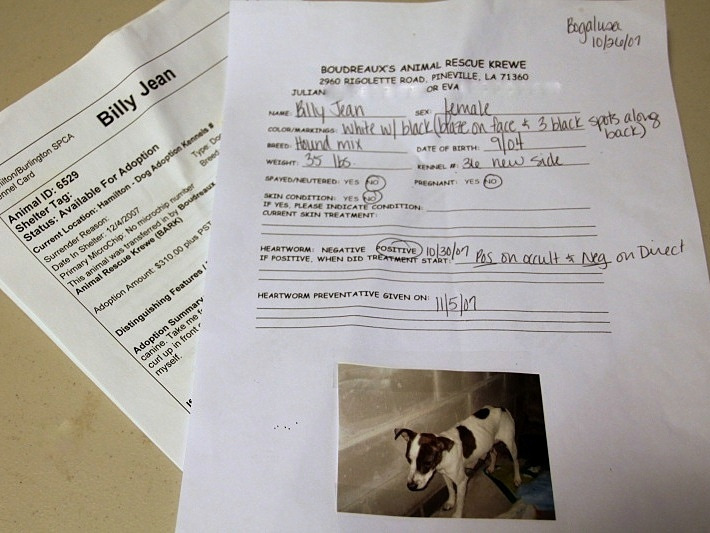 Intake papers to enter into a shelter for Nancy the dog