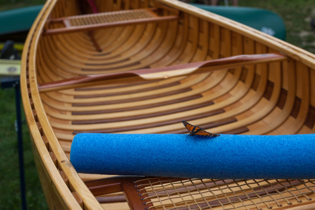 A butterfly sits on a foam padding on top of a wooden canoe